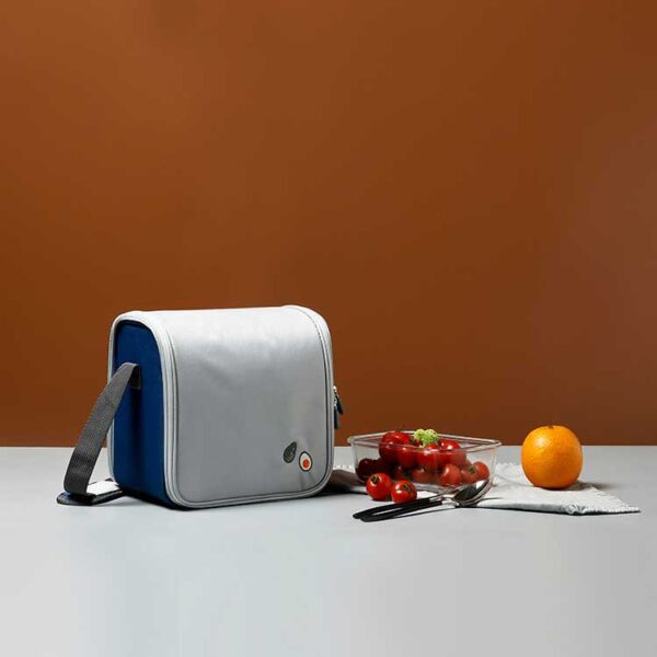Lunch Ice Cooler Bag