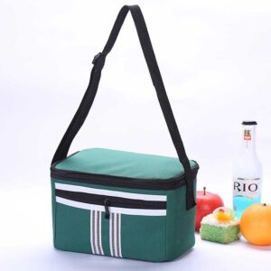 Insulation Package Outdoor Lunch Bag Creative Fruit Ice Lunch Cooler Bag